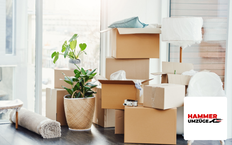 Webdesign Agentur Chemnitz Referenz Umzugsunternehmen